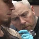 Tattoo parlor will donate proceeds to Last Hope Animal Rescue on Wednesday