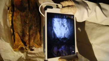 Infrared images reveal hidden tattoos on Egyptian female mummies