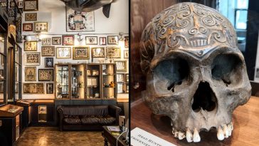 A Trip to the Roma Tattoo Museum