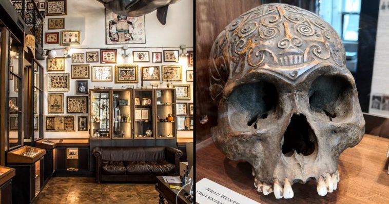 A Trip to the Roma Tattoo Museum